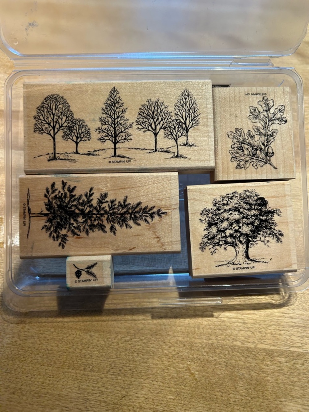 🍒 Stampin’Up! 🍒 Retired “Lovely as a Tree” Stamp set.